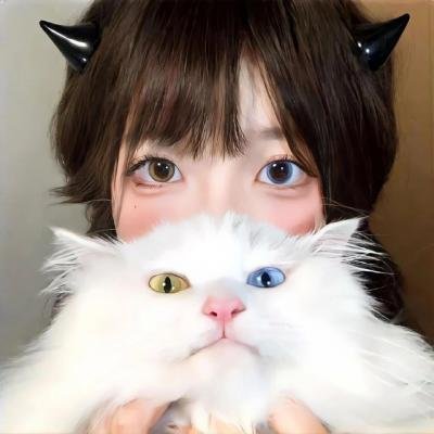 幻梦战记莉达